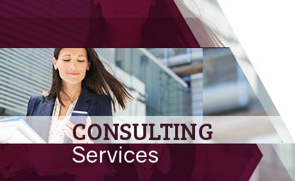 Insurance consulting services