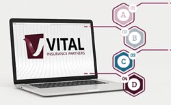 Types of insurance programs